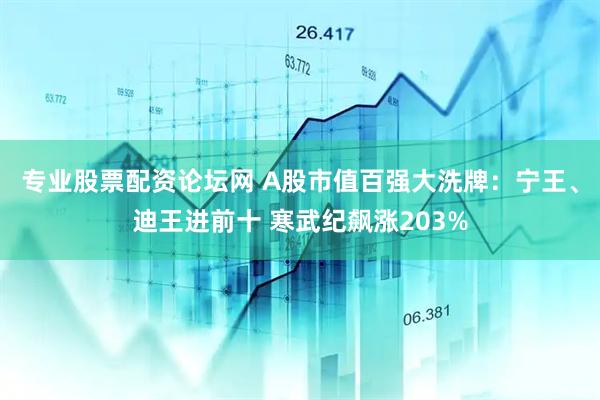 专业股票配资论坛网 A股市值百强大洗牌：宁王、迪王进前十 寒武纪飙涨203%