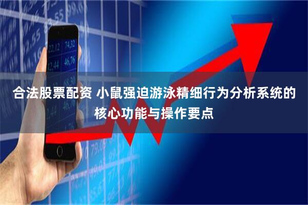 合法股票配资 小鼠强迫游泳精细行为分析系统的核心功能与操作要点